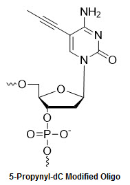 Bio-Synthesis Inc. Oligo Structure